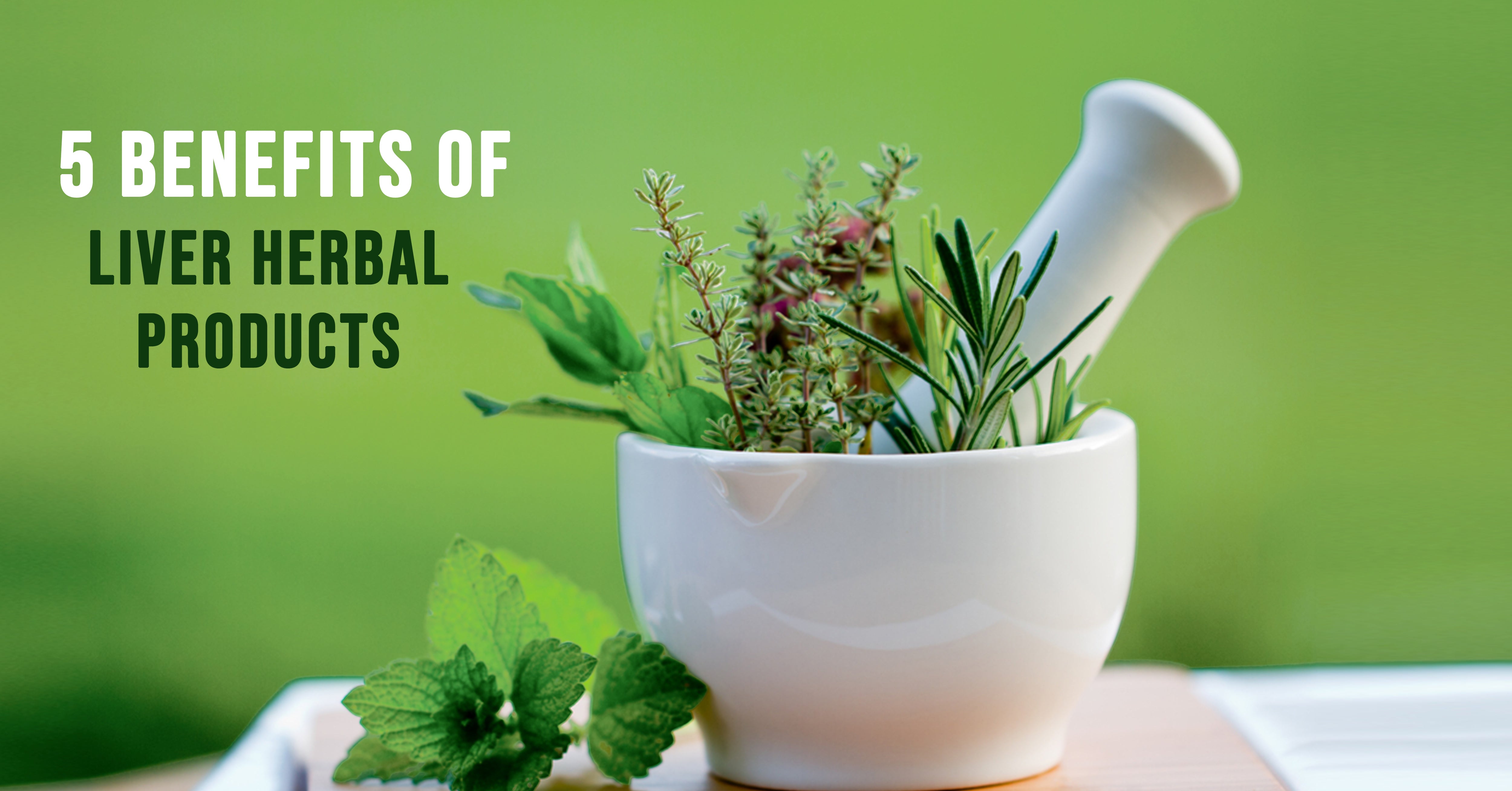 5 benefits of liver herbal products - Bixa Botanical