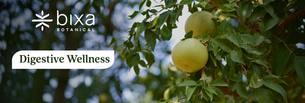 Digestive Wellness