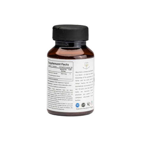 Cissus Extract (3-keto steroids - 2.5%) 450mg Veg Capsules