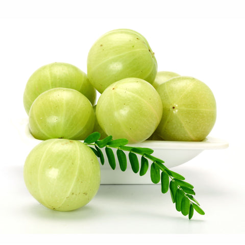 Amla Fruit Powder  Emblica officinalis