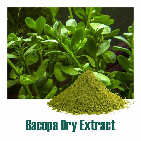 Bacopa Extract