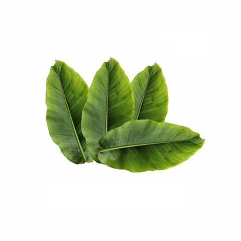 Banaba Leaves Powder  Lagerstroemia speciosa