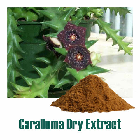 Caralluma Extract