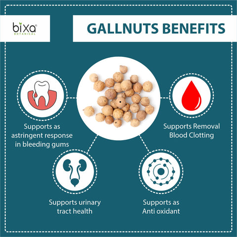 Galnuts Galls Powder  Quercus infectoria