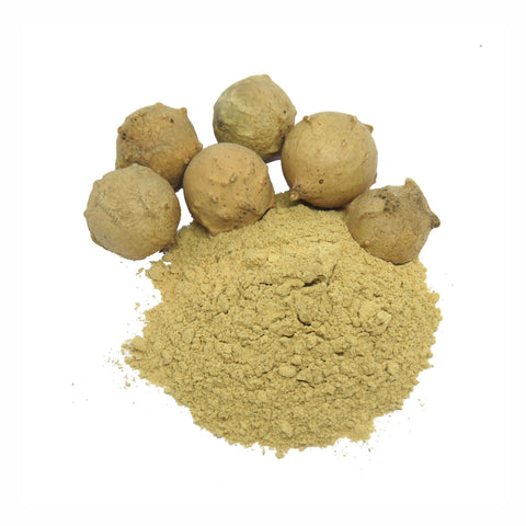 Galnuts Galls Powder  Quercus infectoria
