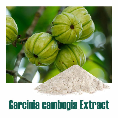 Garcinia Extract