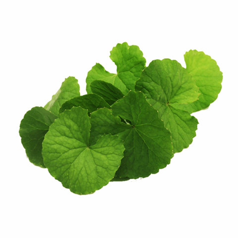 Gotukola Herb Powder  Centella Asiatica
