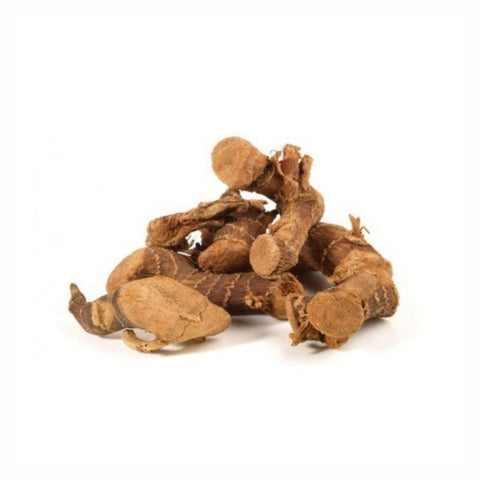 Greater Galangal Root Powder  Alpinia galanga