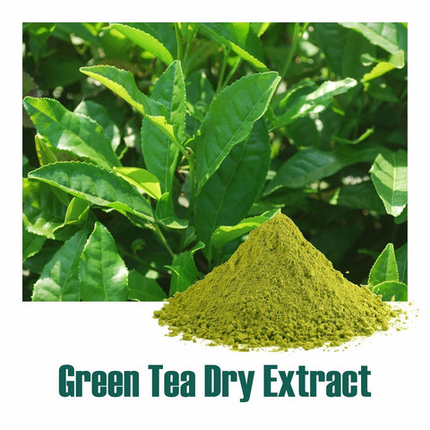 Green Tea Extract