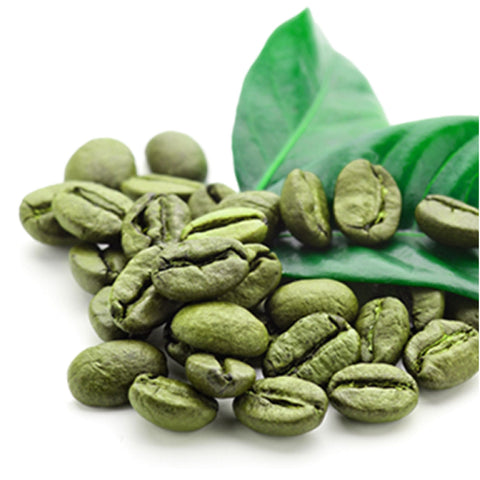 Green Coffee Beans Powder Coffea robusta