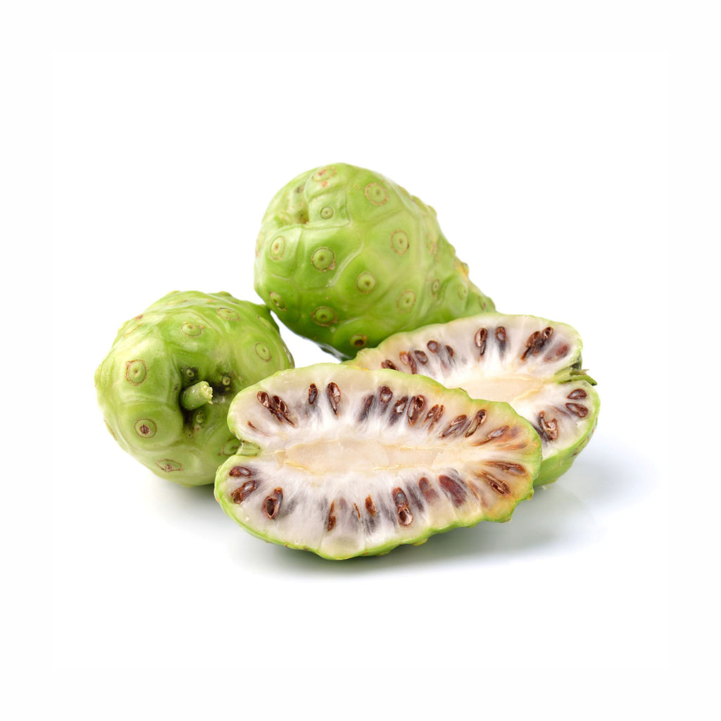 thumbnail image 2 of 1lb 100% Natural Noni Juice Powder - Herbal Remedy For Aches & Inflammation (Morinda Citrifolia) 2 of 10
