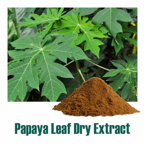 Papaya Extract