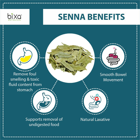 Indian Senna Extract 10% Sennoside 450mg Veg Capsules