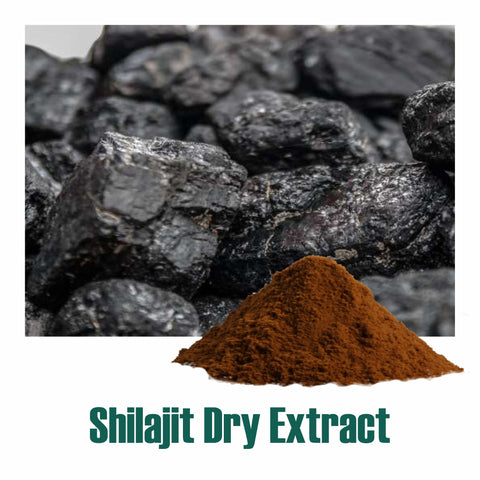 Shilajit Extract