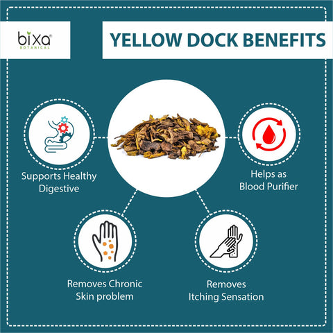 Yellow Dock Root Powder  Rumex crispus