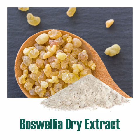 Boswellia Extract