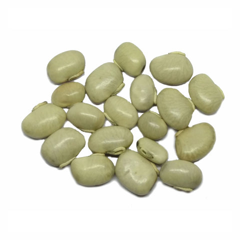 Mucuna Seed Powder Mucuna Pruriens