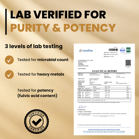 Pure Himalayan Shilajit Resin Pump 20gm | Instant Solubility | 350–400 mg Meter Dose