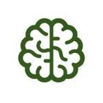 Brain Wellness