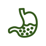Digestive Wellness
