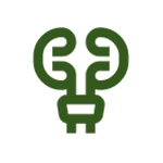 Kidney Wellness