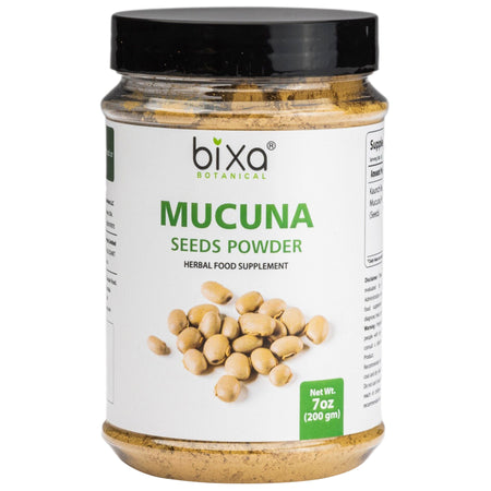 Ground Mucuna pruriens powder in bowl