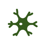 Nerve Wellness
