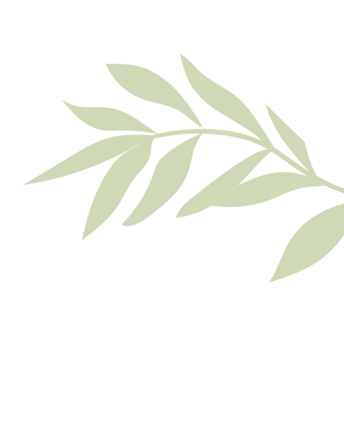 Overlap Image