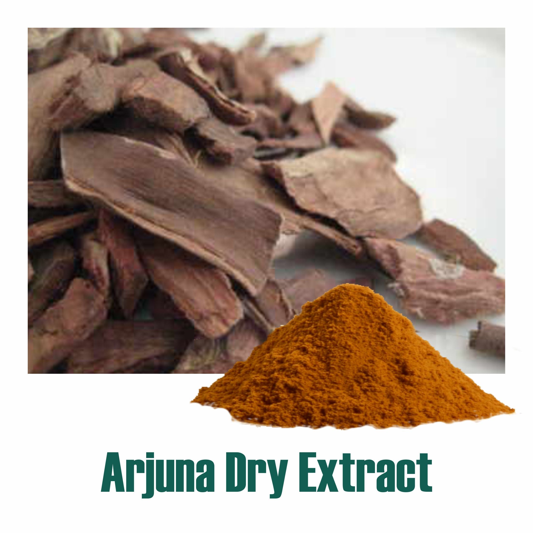 Arjuna Extract