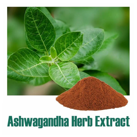 Ashwagandha Herb Extract 