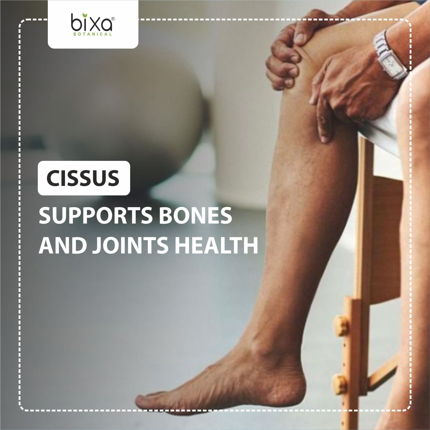 Cissus dry Extract - 2.5% 3-Keto steroids by Gravimetry