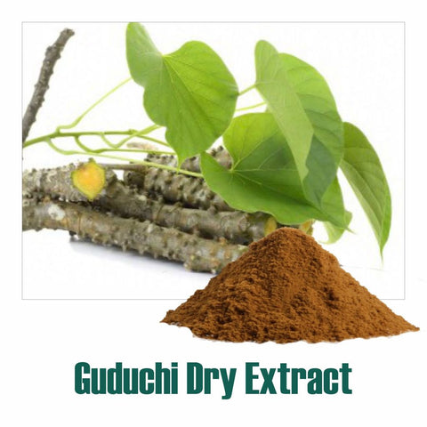 Guduchi Extract