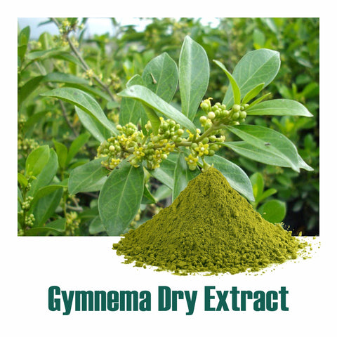 Gymnema Extract