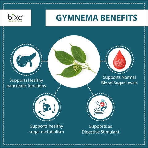 Gymnema Extract Veg Capsules | Bixa Botanical