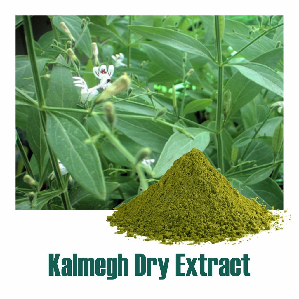 Andrographis Extract 20%
