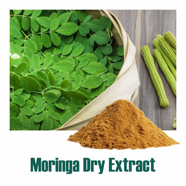Moringa Extract 20%