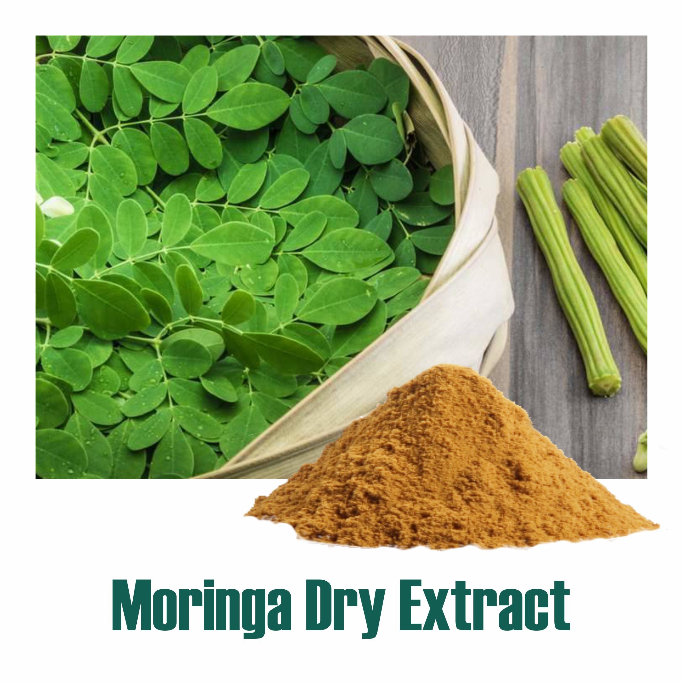 Moringa Extract