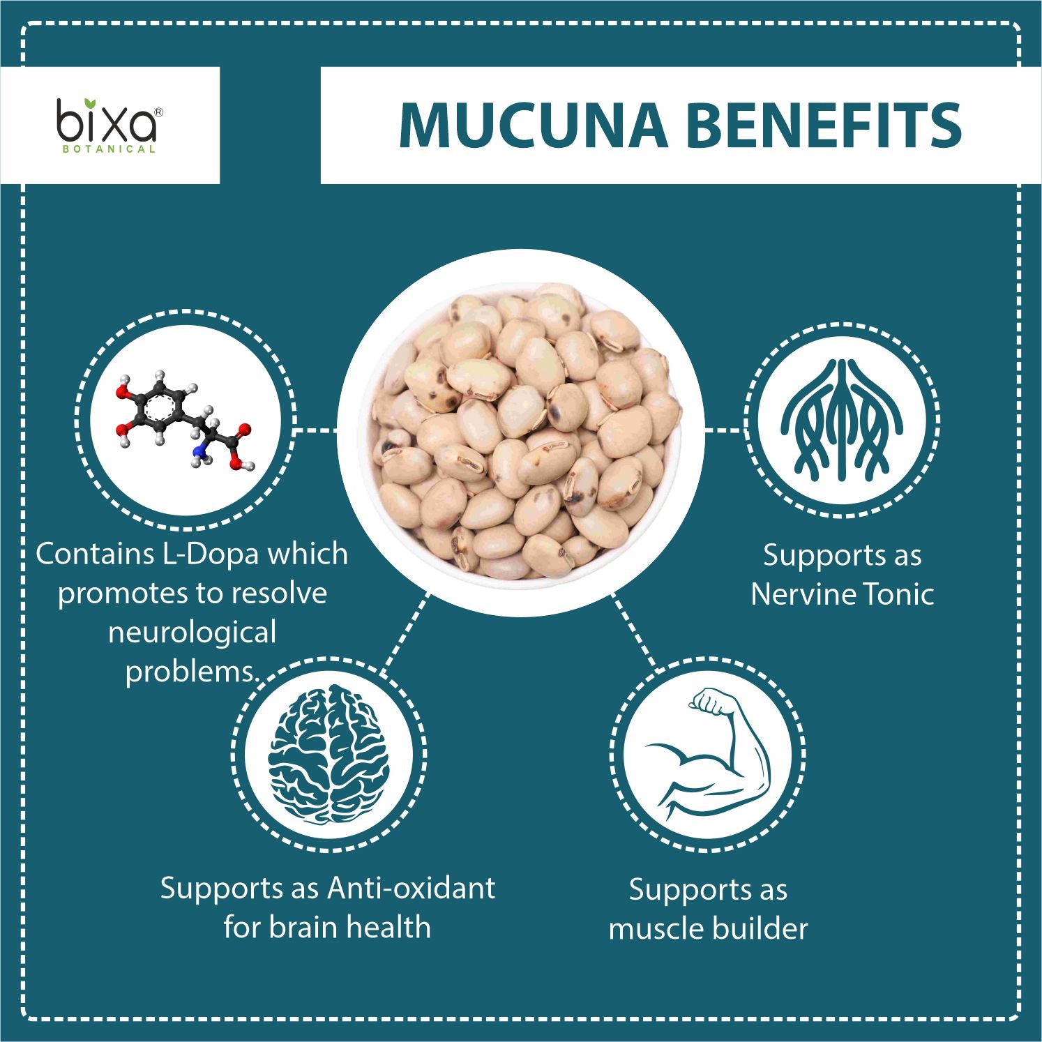 Mucuna Pruriens 15% L-Dopa Extract 450mg Veg Capsules