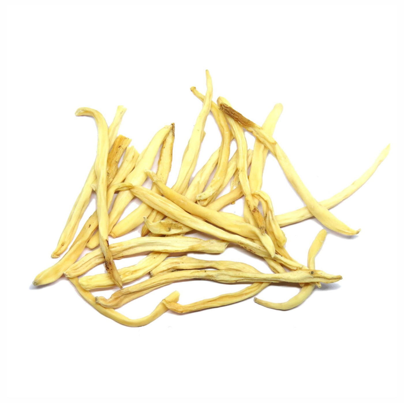 chlorophytum borivilianum testosterone Safed musli Powder Chlorophytum borivilianum – Bixa Botanical International