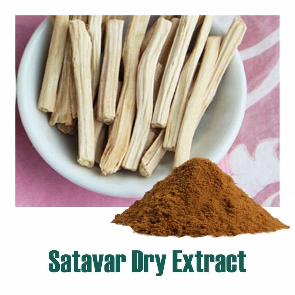 Shatavari Extract