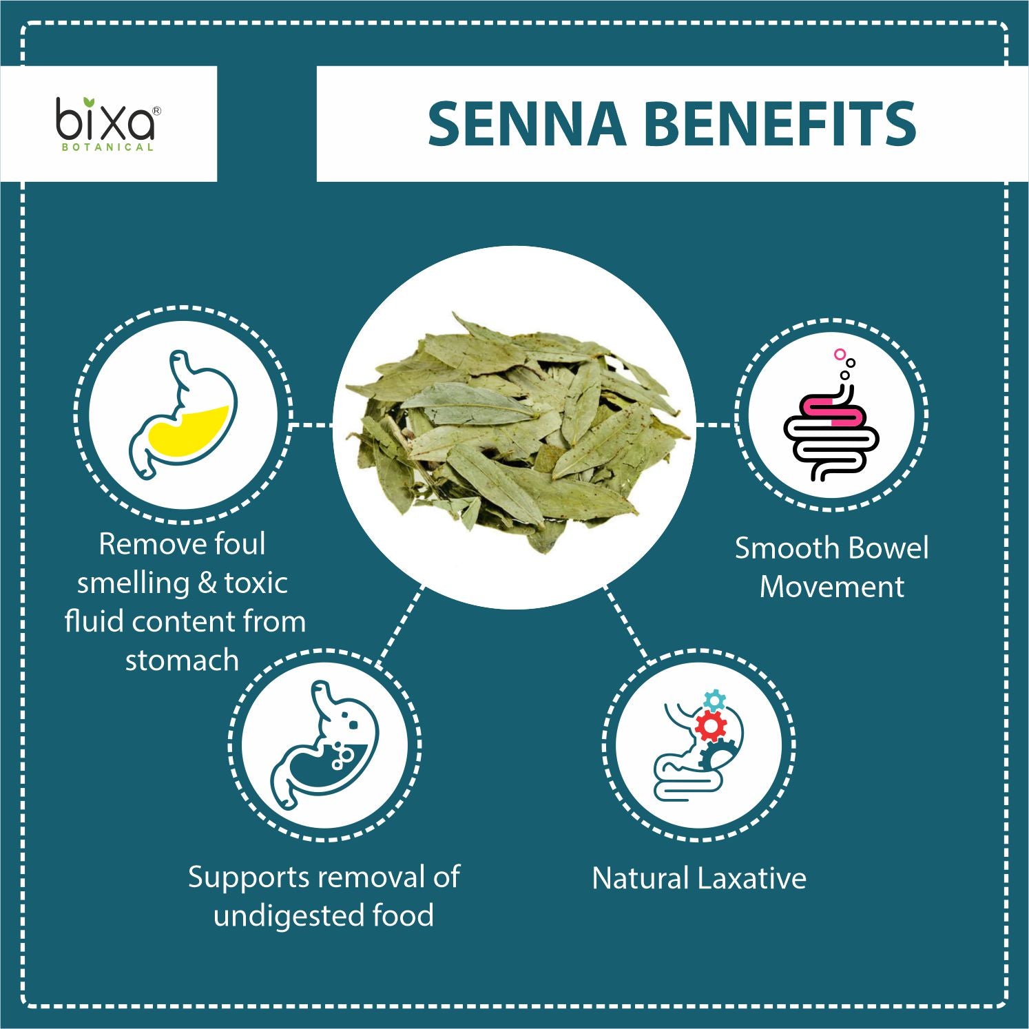Indian Senna Extract 10% Sennoside 450mg Veg Capsules