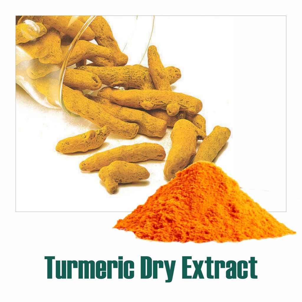 Turmeric Extract