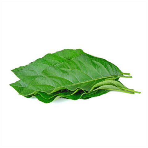 Vasaka Leaves Powder  Adhatoda vasaka