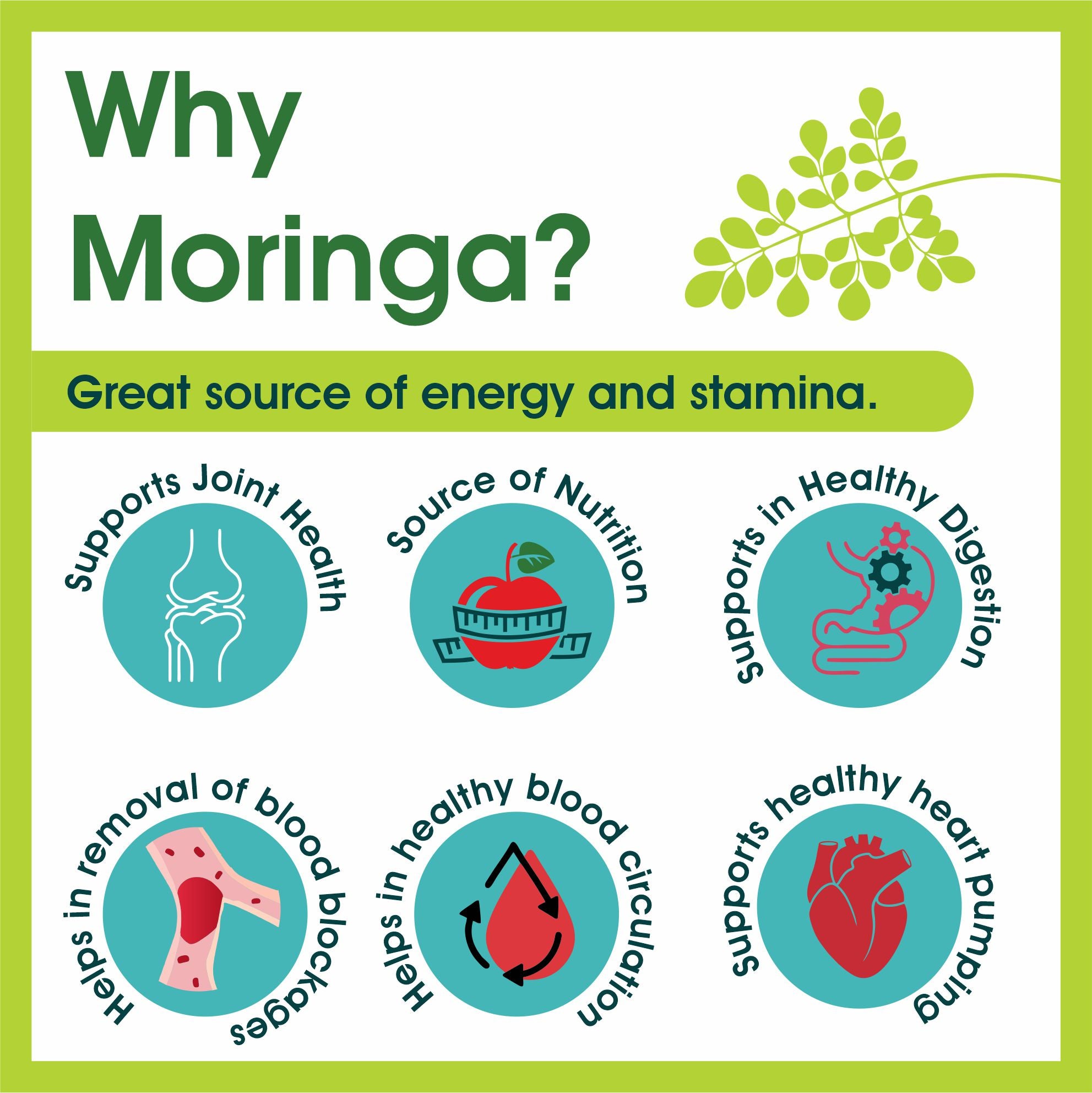 Moringa Extract 1% Alkaloids 450mg Veg Capsules